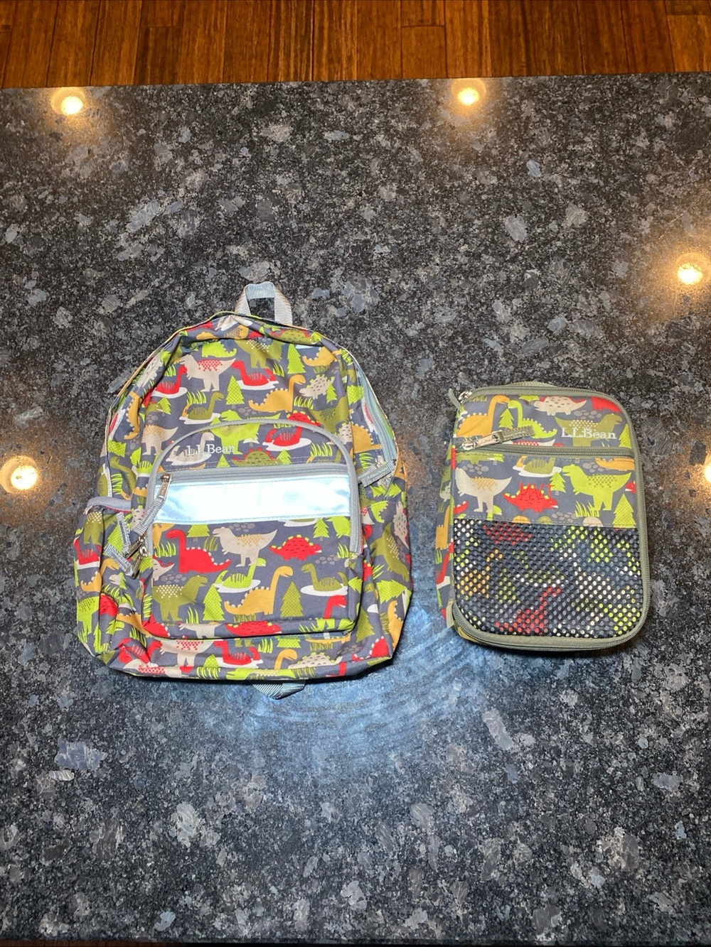 LL Bean Dinosaur Backpack Back To School Kids With Matching Lunchbox